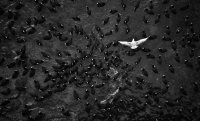 Временная нетрудоспособность (так называемый «больничный»): порядок и условия оплаты